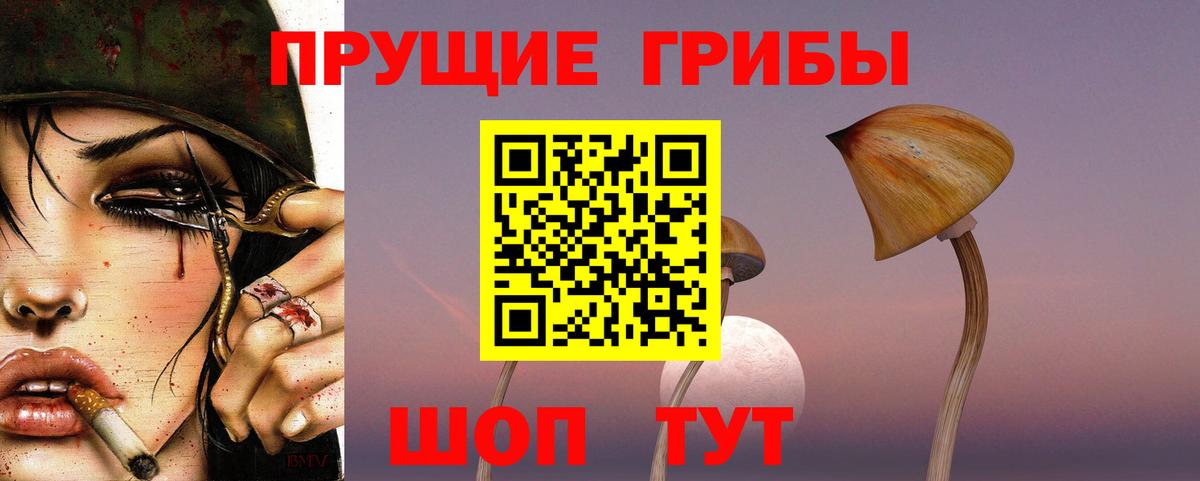 Псилоцибиновые грибы ЛСД  Вход с VPN  Янаул 